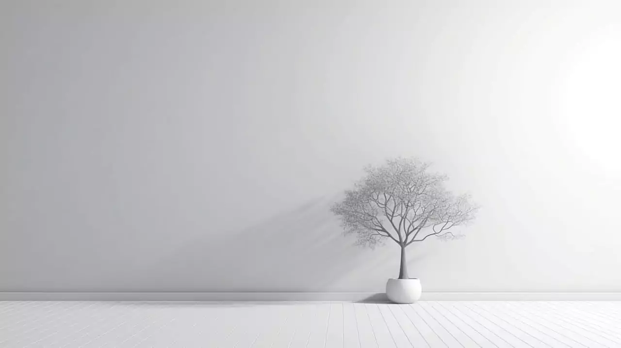 Professional plastering by Harrogate Maintenance Company